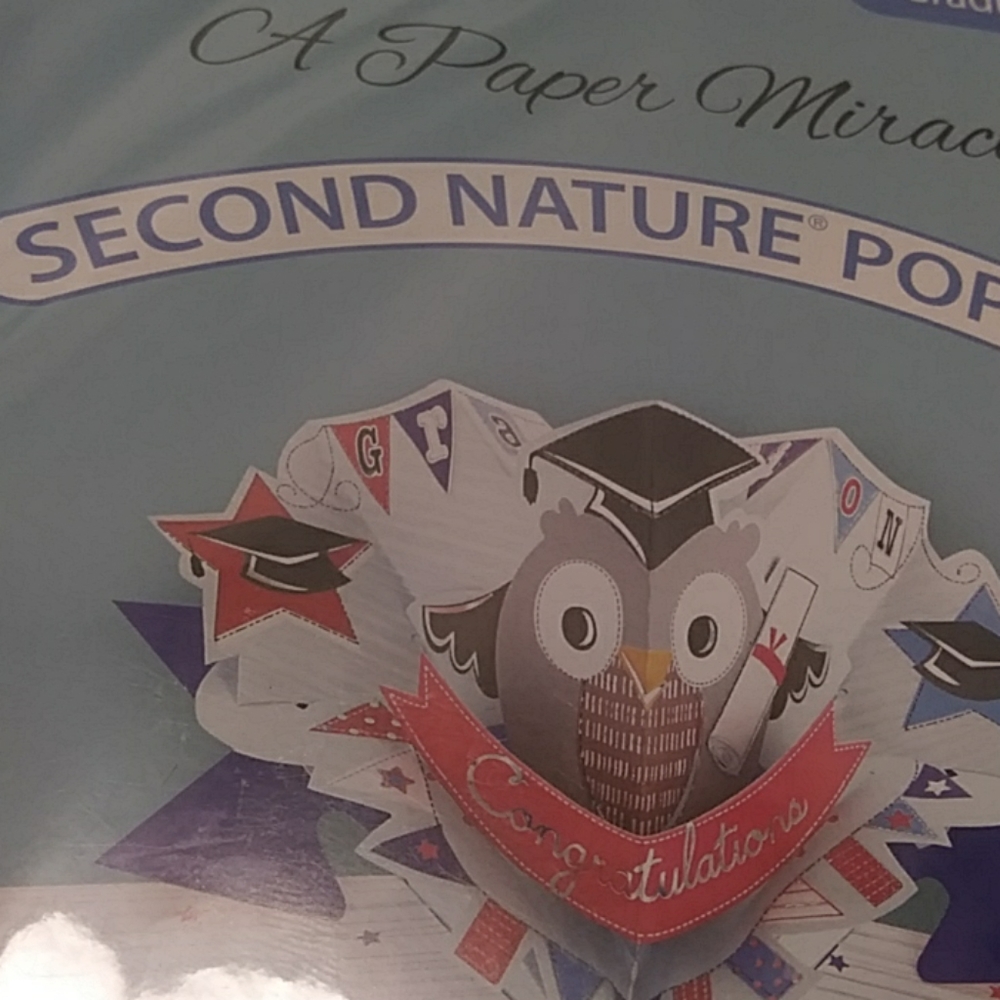 Paper pop ups - Picture 2 of 3